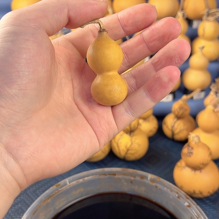 葫芦一物一拍所见即所得