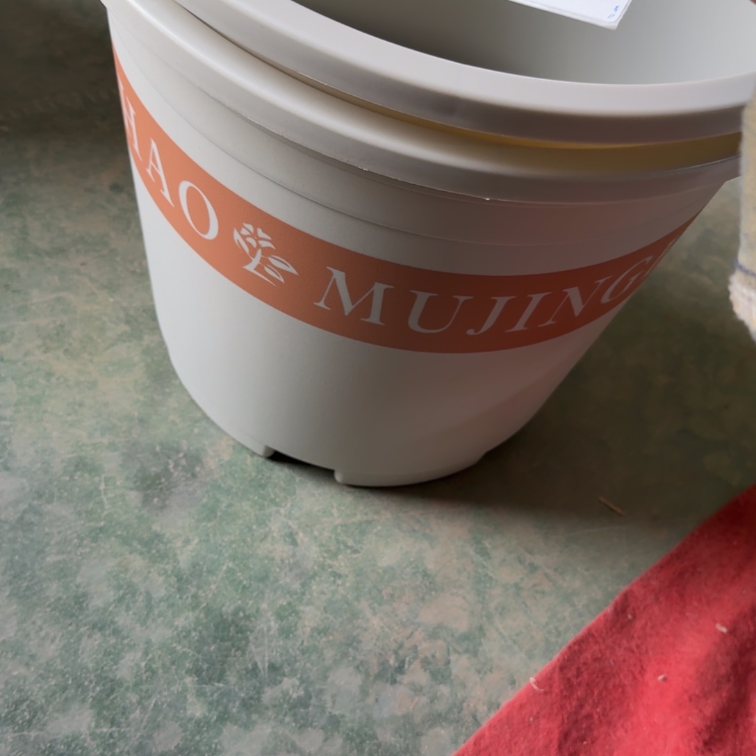 编号970微瑕微瑕