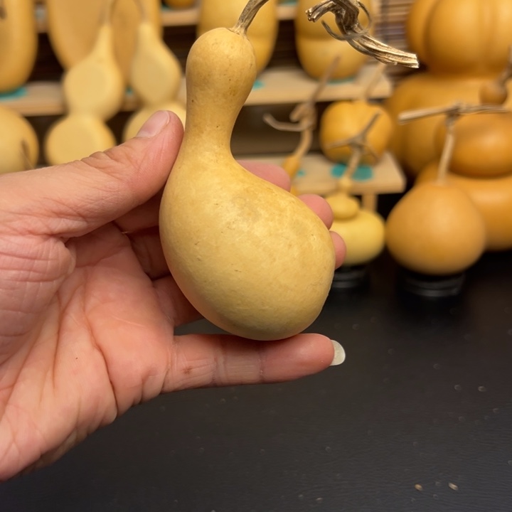 N**c6555555666665589