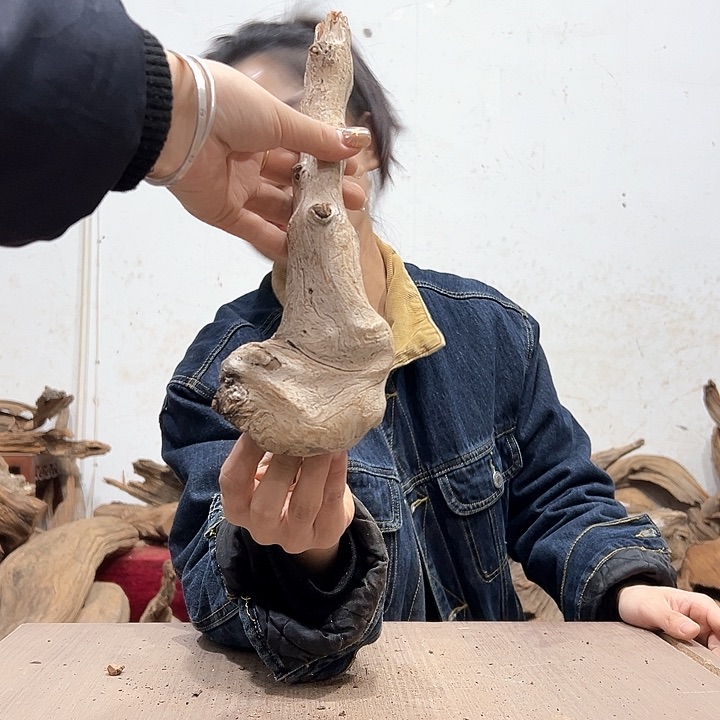 柏木鸿*我们都是好孩子