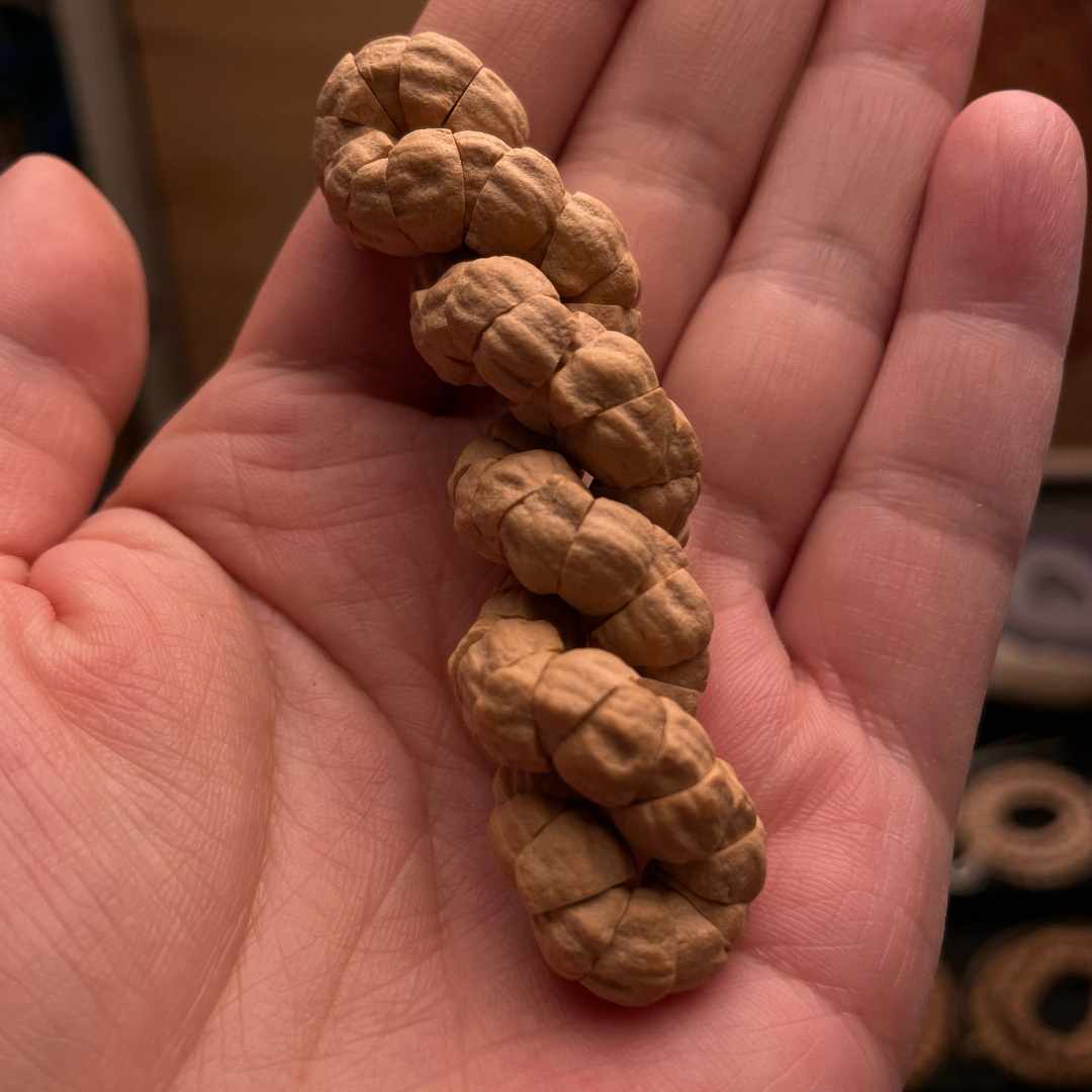 【熵炽】藏区大尺寸百香籽肥肠解压神器