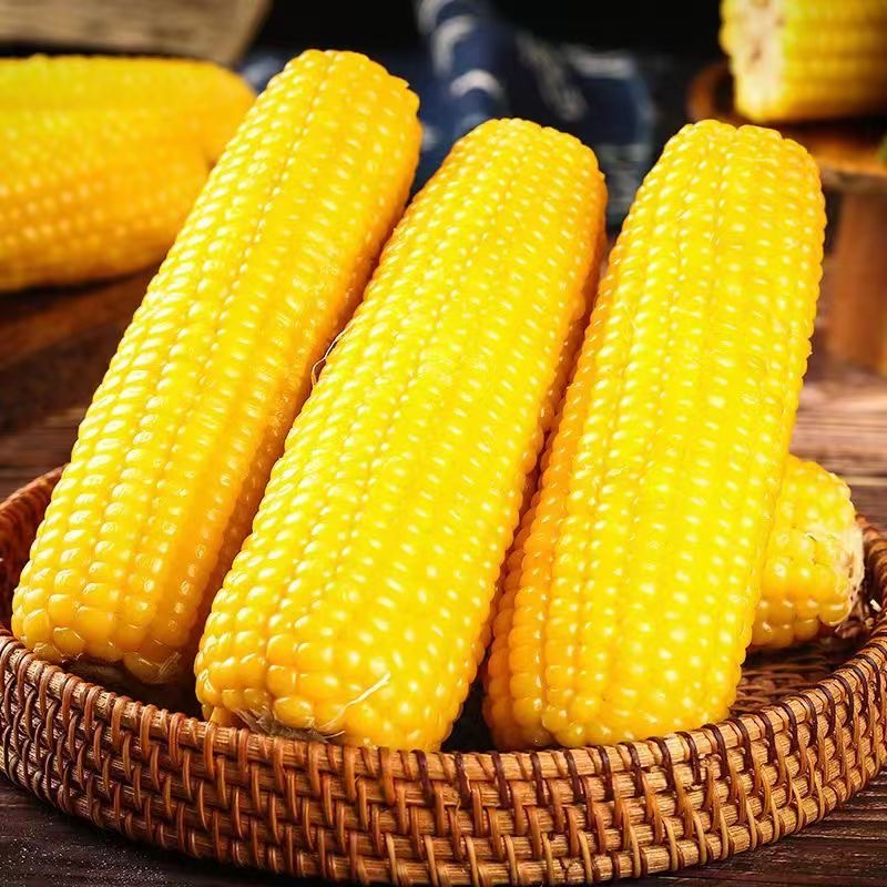 甘肃合水太白熟制真空包装鲜食甜糯玉米粗粮代餐