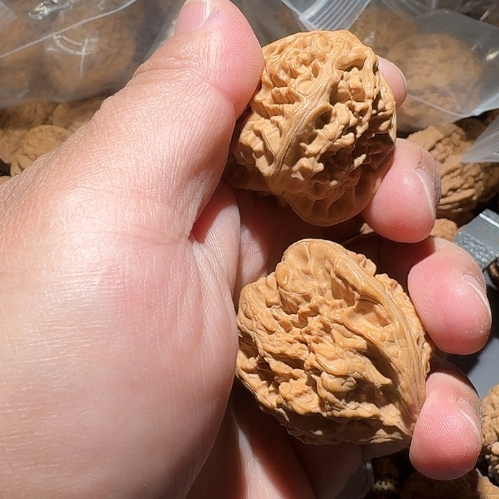 多***记把件文玩核桃39承德粗筋