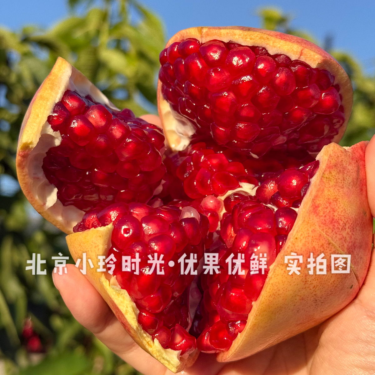 【鲜摘石榴】承诺不打蜡不泡药·宝宝孕妇放心吃·四川会理合作社产四川省
