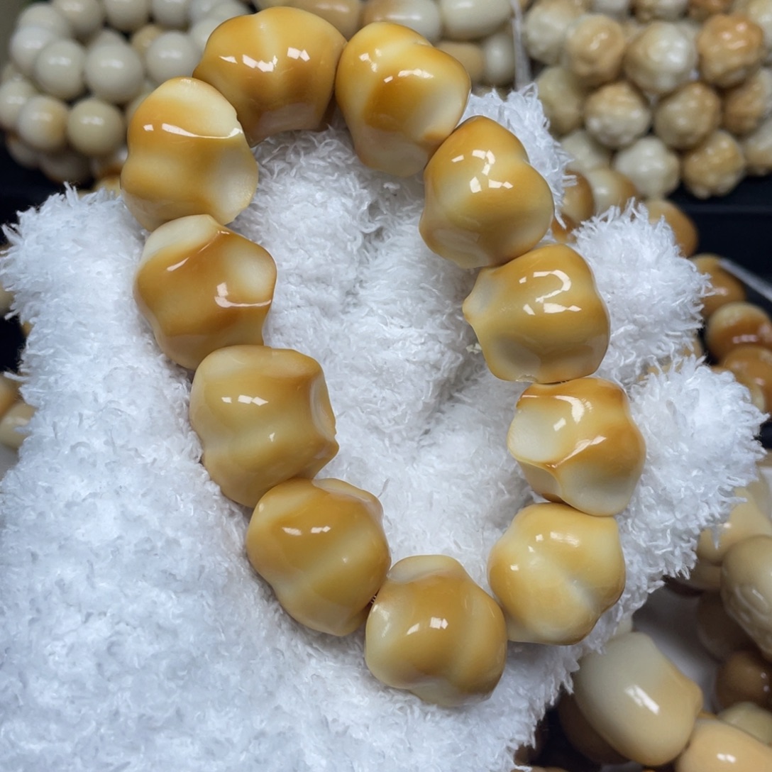 菩提根/象牙果手串12.18.10瑕饺子