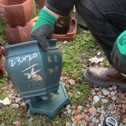 红陶紫砂花盆盆景盆栽
