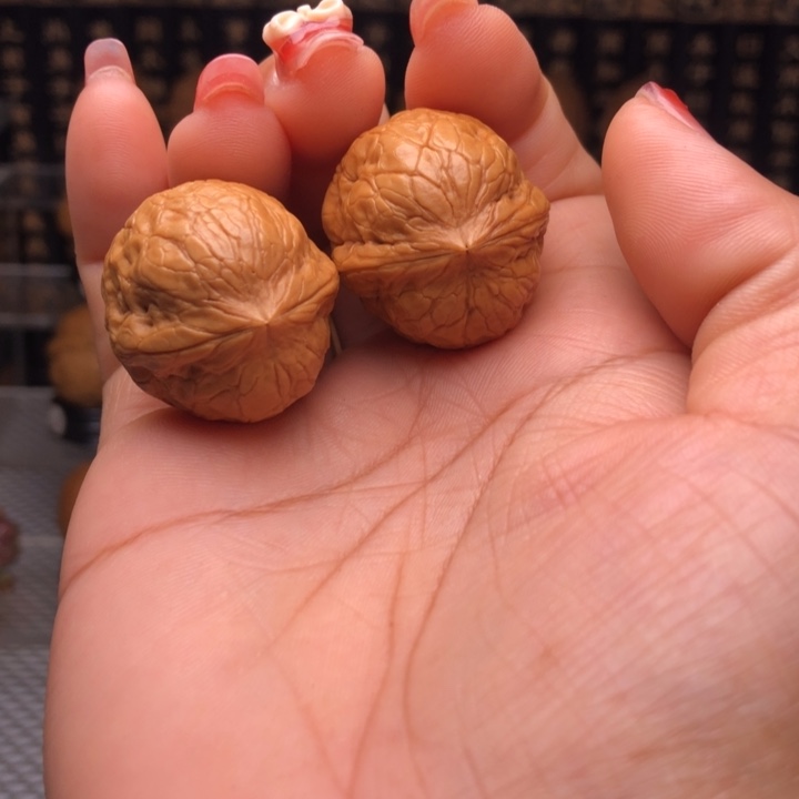 橄榄核吊坠3小青蛙