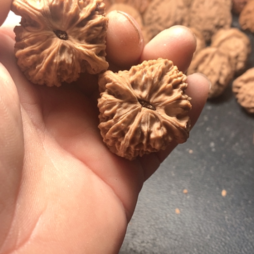 【闪购商品】我**光南疆