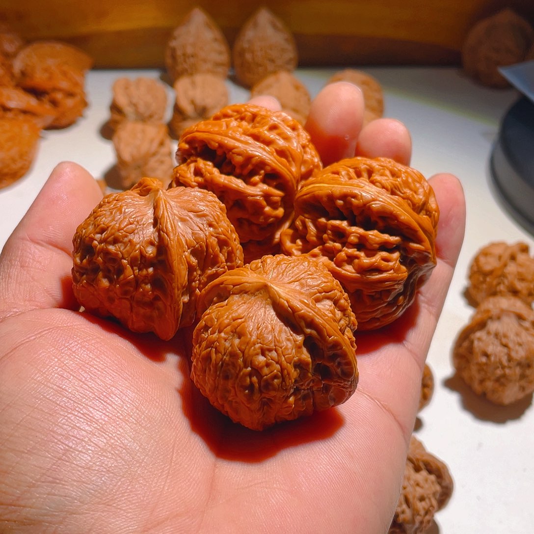 核桃前****！血麒麟➕红锦鲤。不退