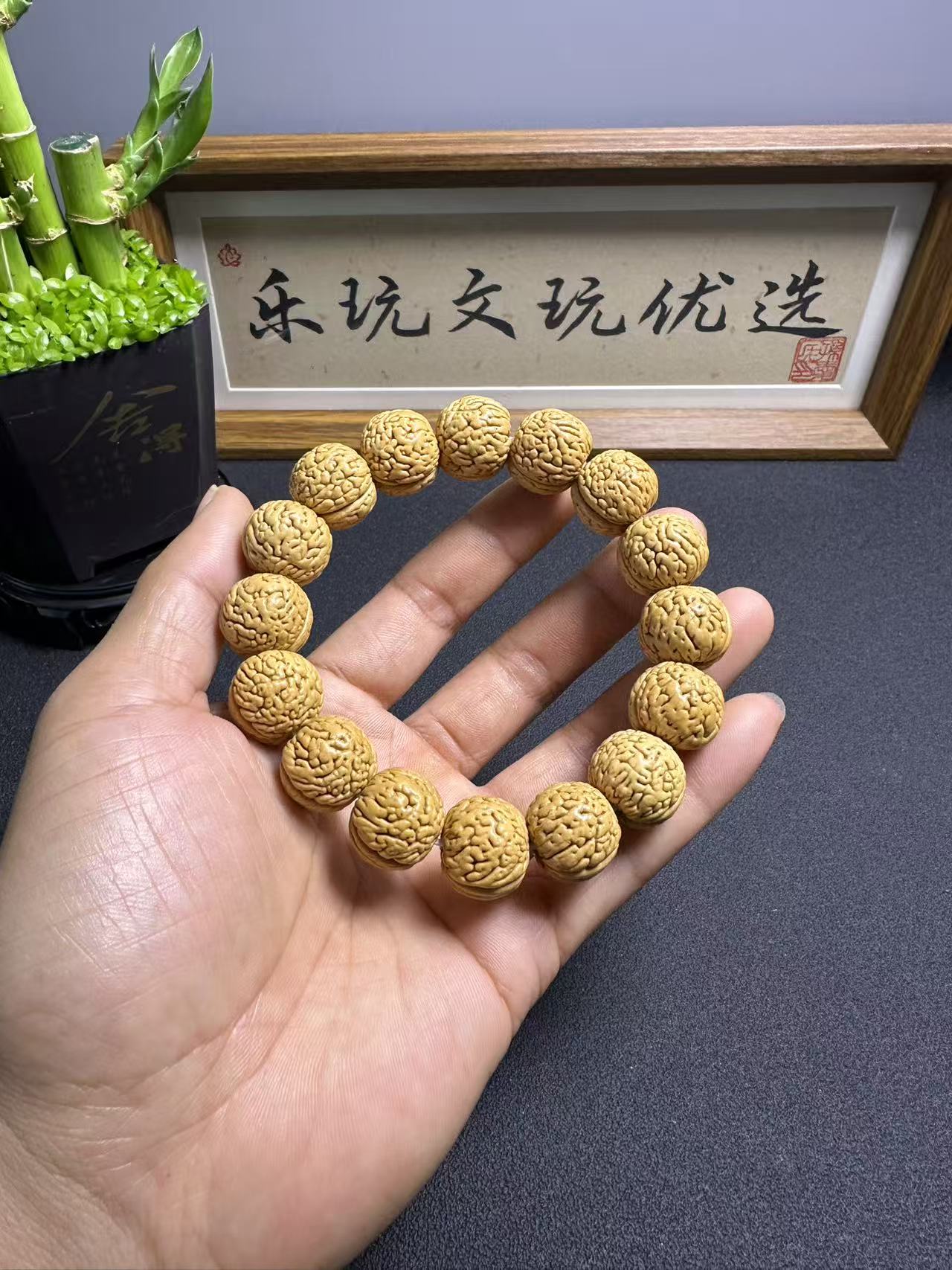 粗筋爆肉大肥脐 桃核