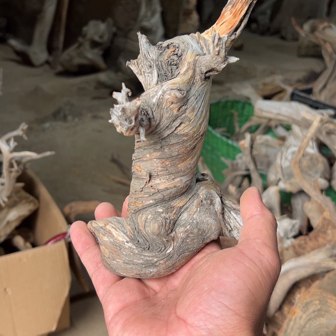 轶***城柏木（崖柏）文玩根雕 