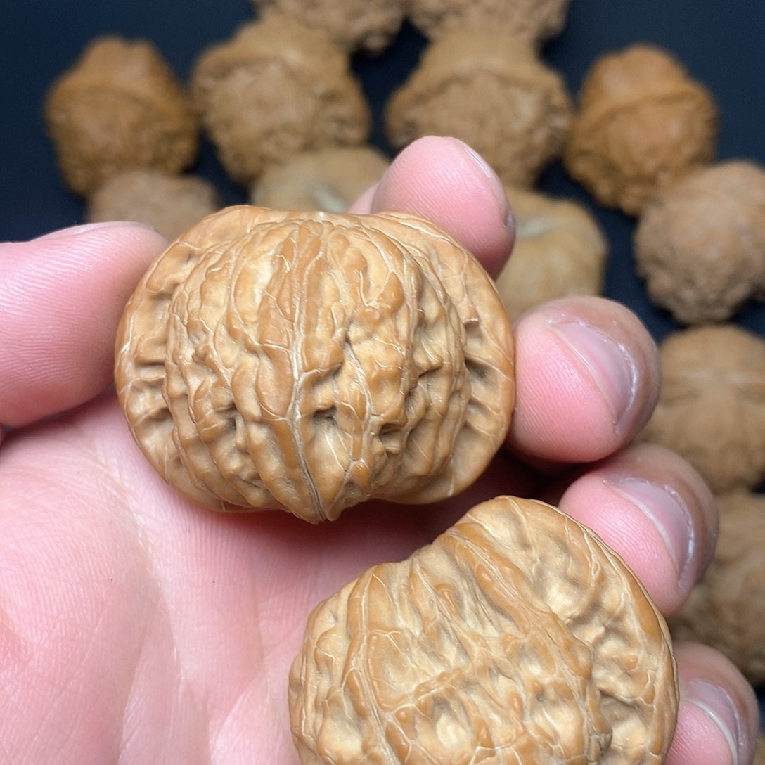 文玩核桃把件锦****543红磨