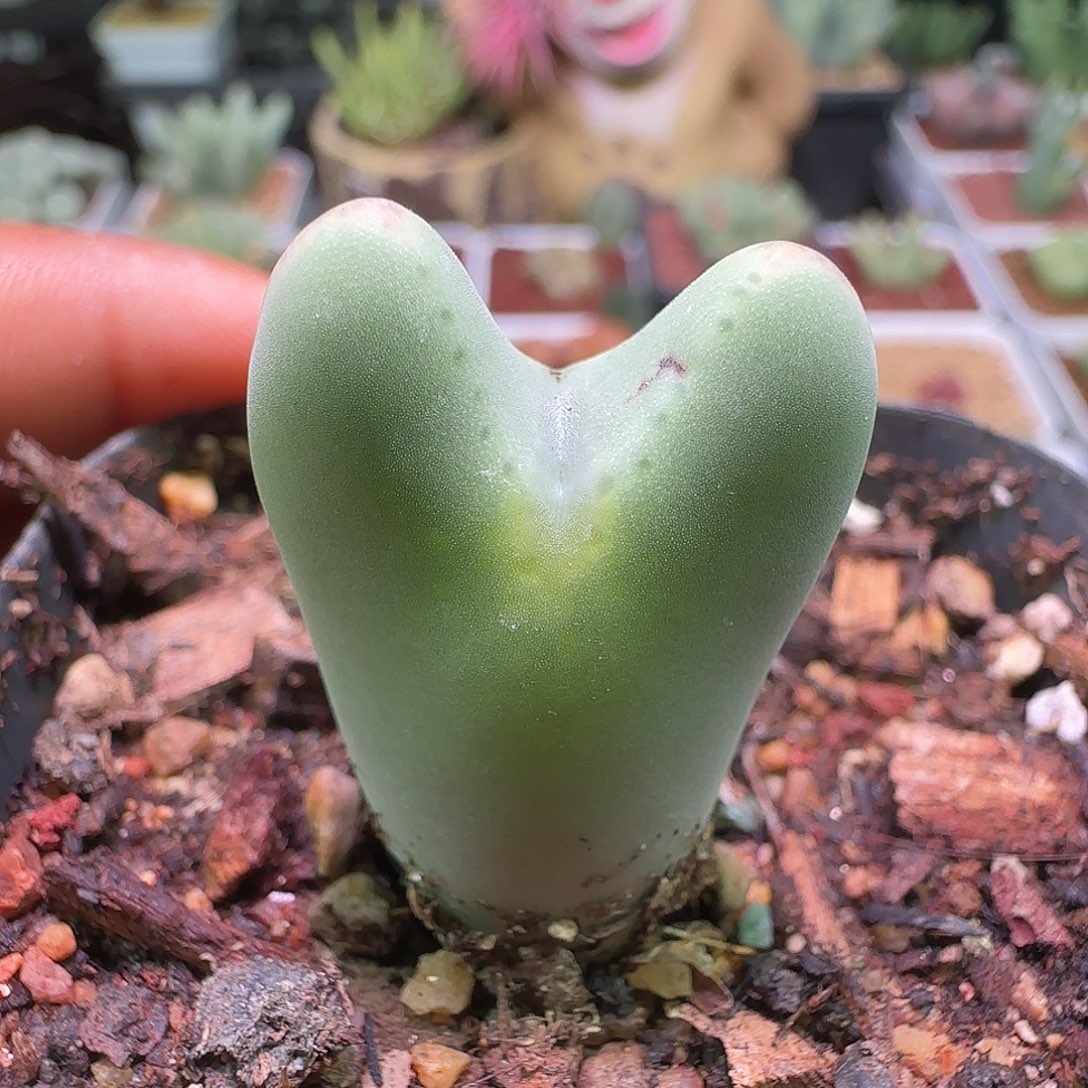 大降价福利来啦561