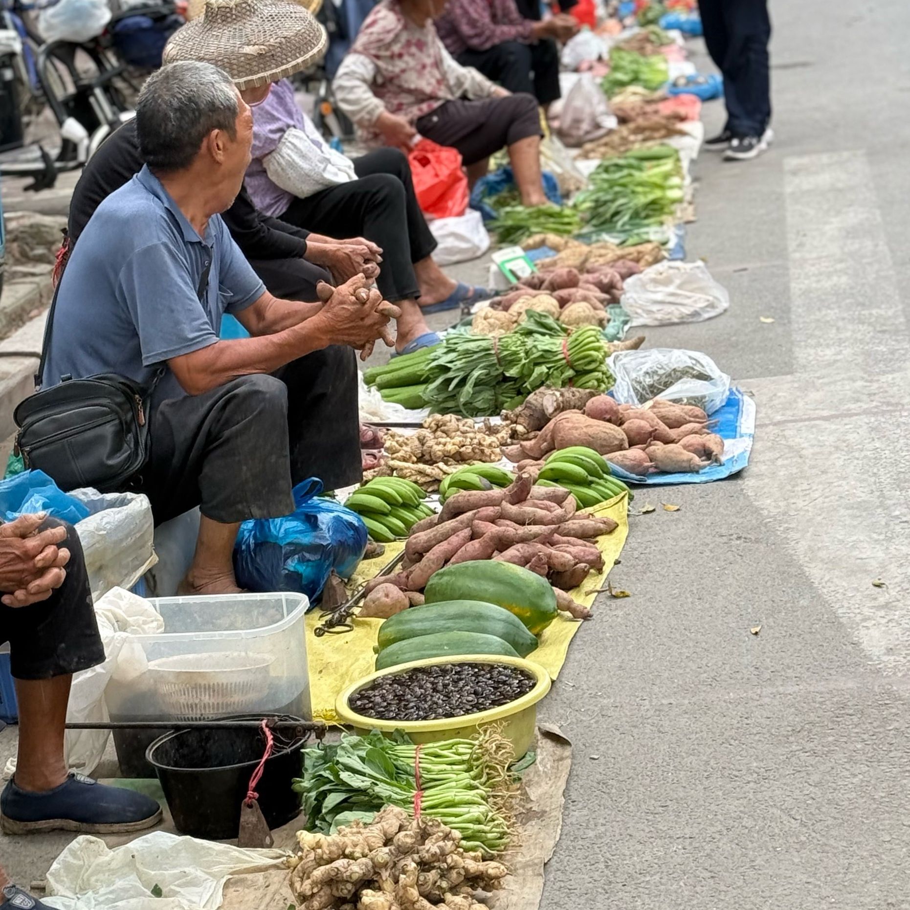 乡村新哥赶大集专用链接