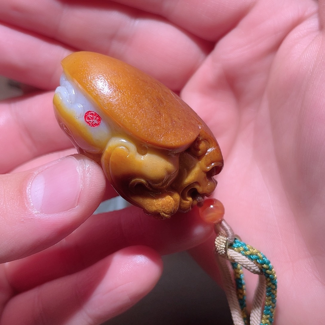 和田玉颈饰未镶嵌贺Z6