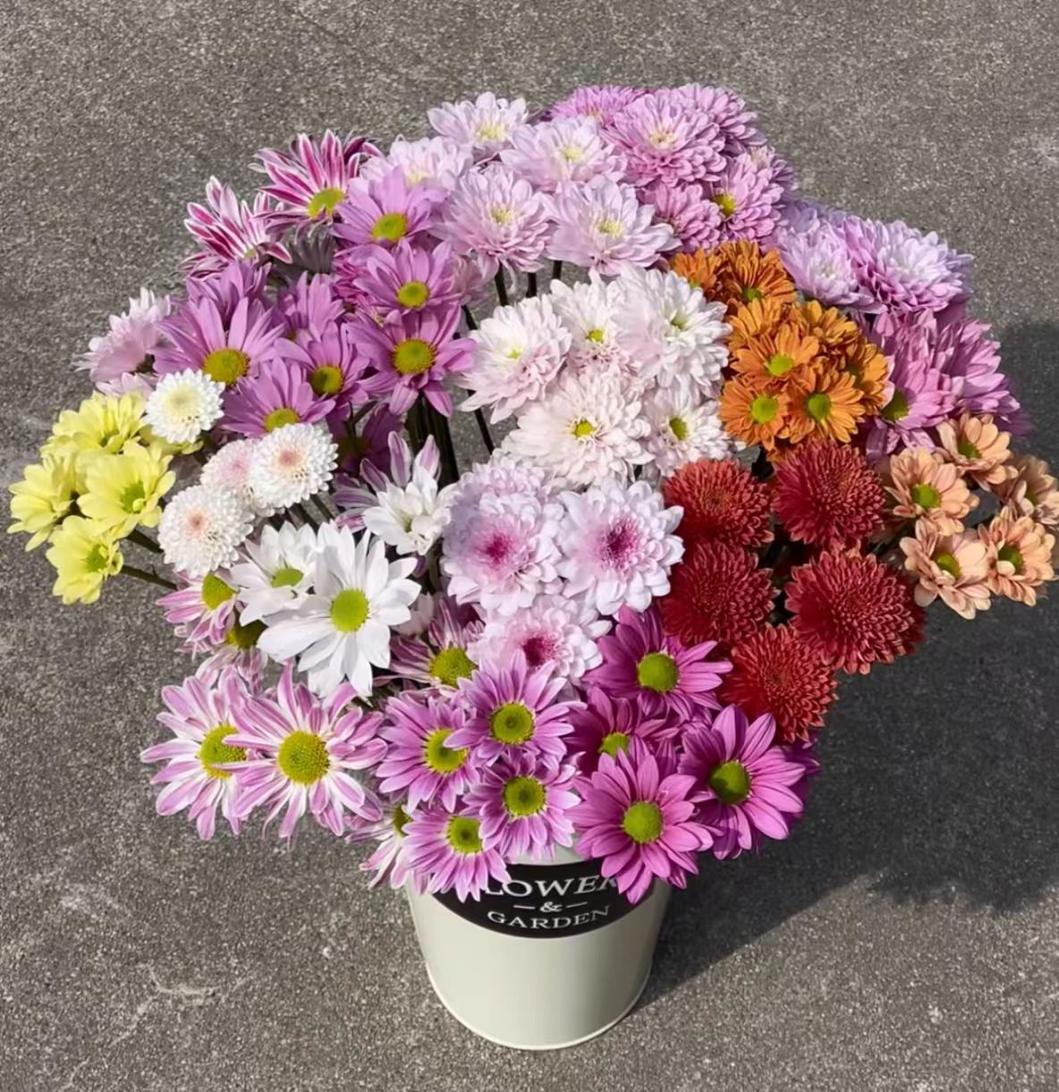 YZ【混色小雏菊10支】全场任意满两单鲜花升级快递