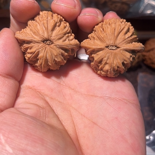 核桃全品无修山地蓦然