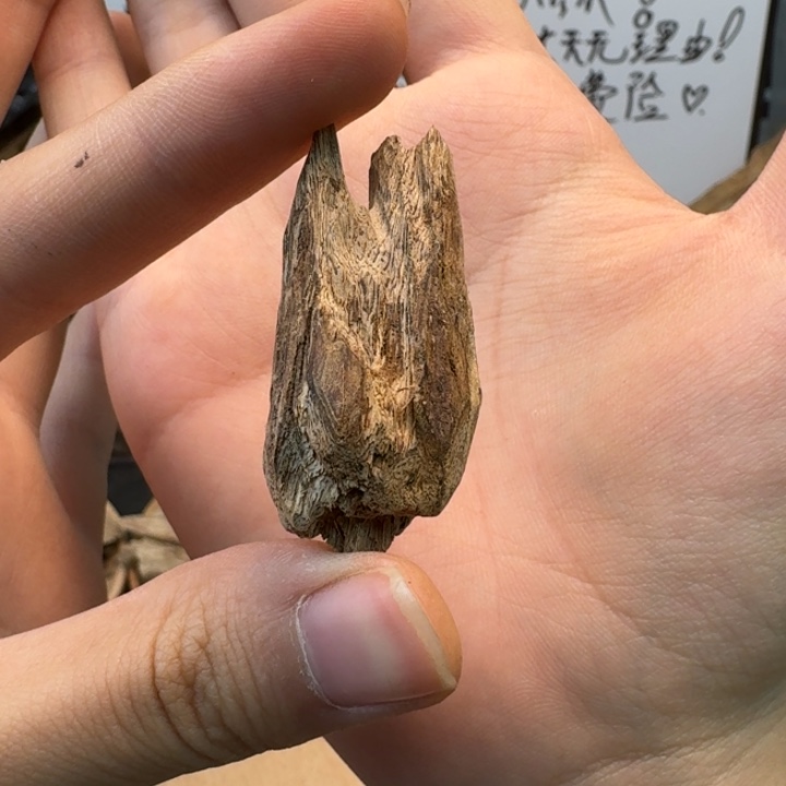 柬埔寨金丝菩萨棋3.9克带棋韵上炉是蜜凉香适合打磨成小挂坠