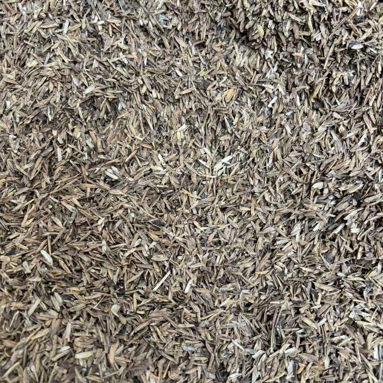 马粪稻壳：配土用基质、疏松透气、极少数会出现白符跳虫