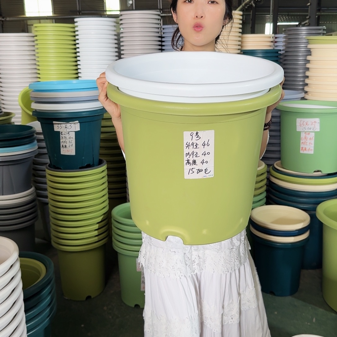 微瑕9#口径46无拖果绿3个