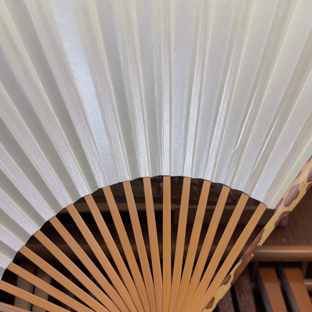 扇子白苏工梅妃。。。