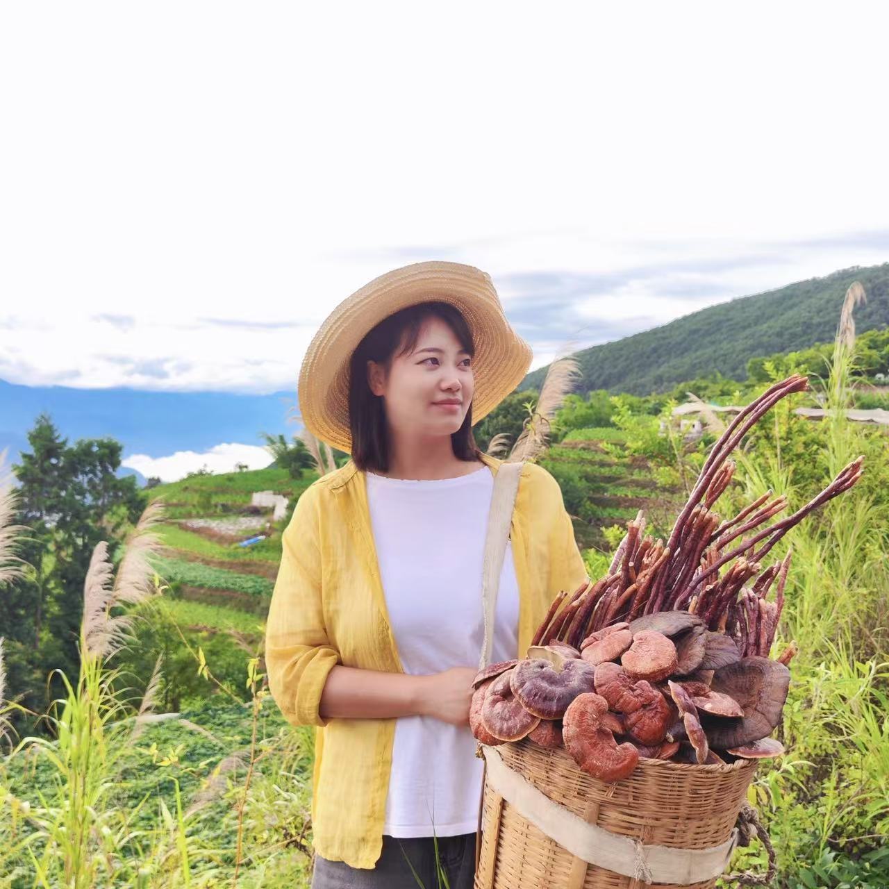 【老秦山货现收】黑豆