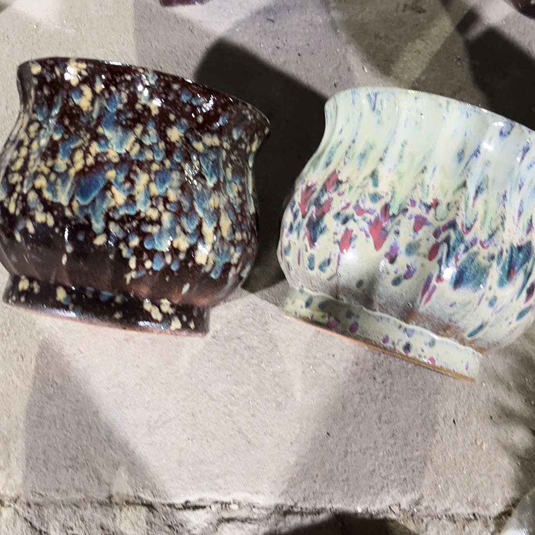 紫砂花盆里的小猫咪