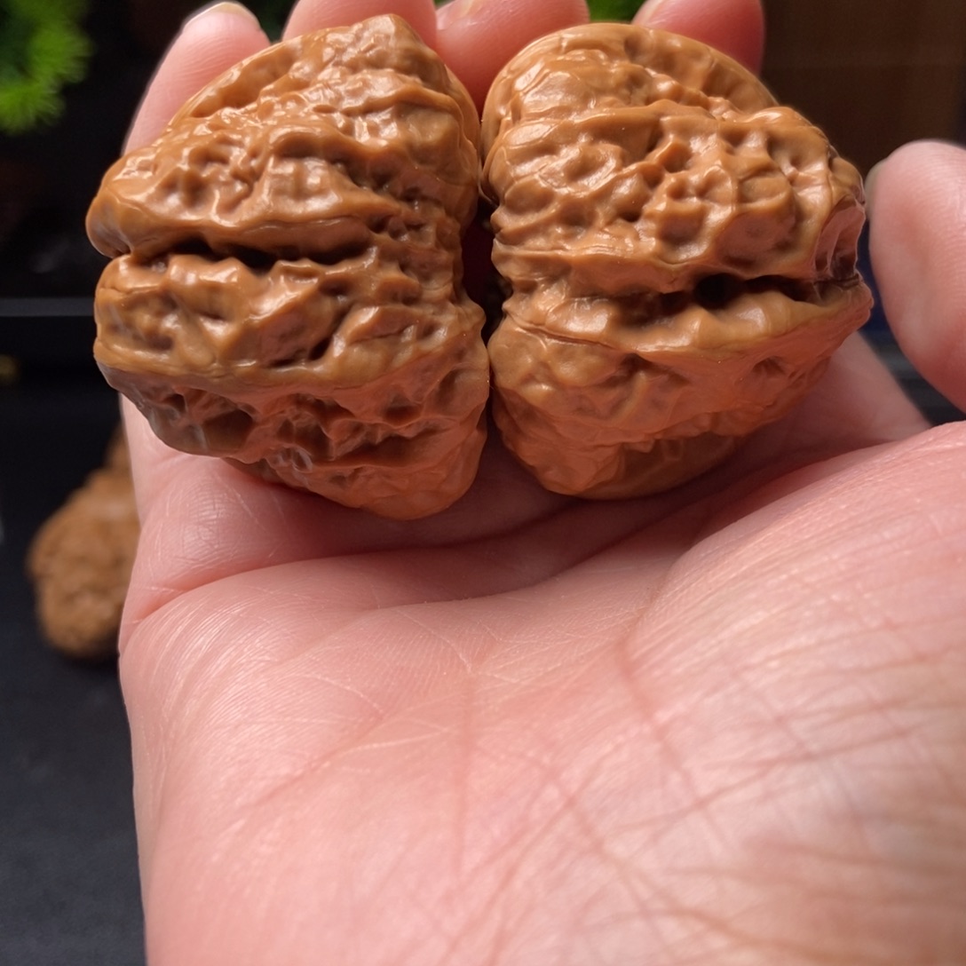 没***馆文玩核桃把件蛤蟆头