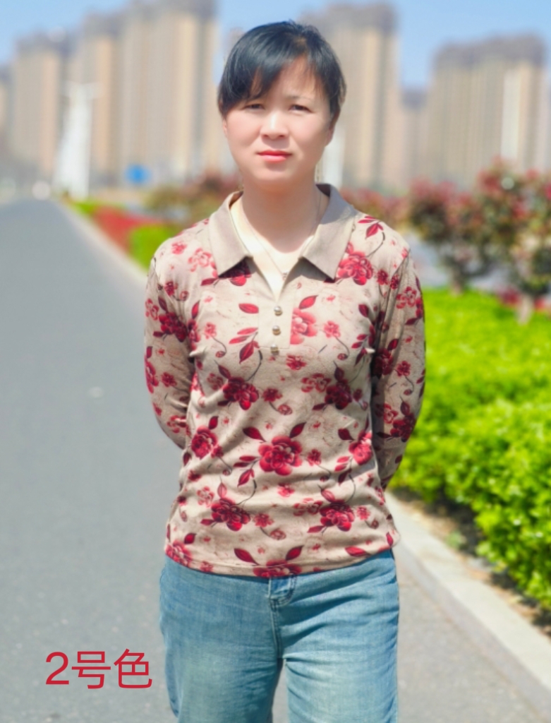 春季新款妈妈装翻领长袖显瘦洋气百搭宽松打底小衫上衣