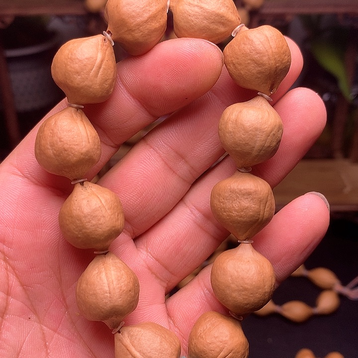 橄榄核手串/手链用****5手串