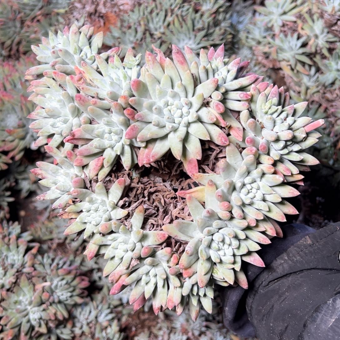 5329哈哈哈哈哈哈哈哈