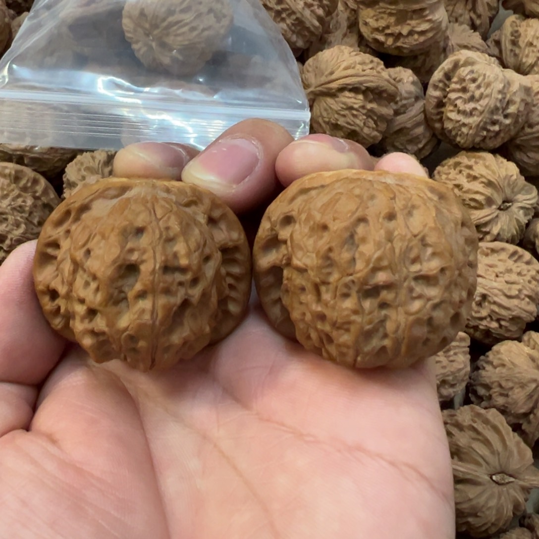 42.5尺血麒麟尖部有修