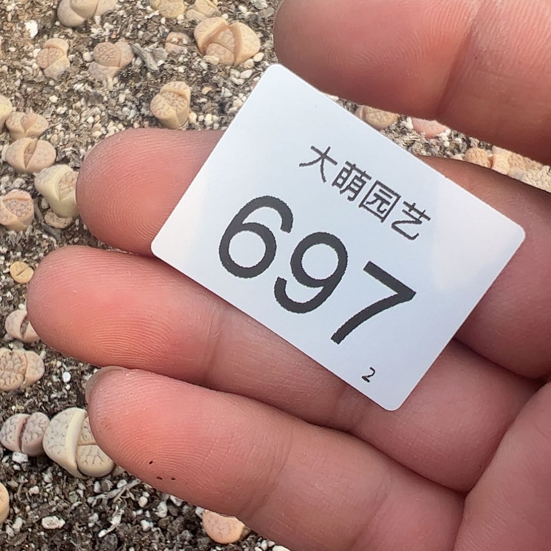 0000697 清框脱土发无售后……