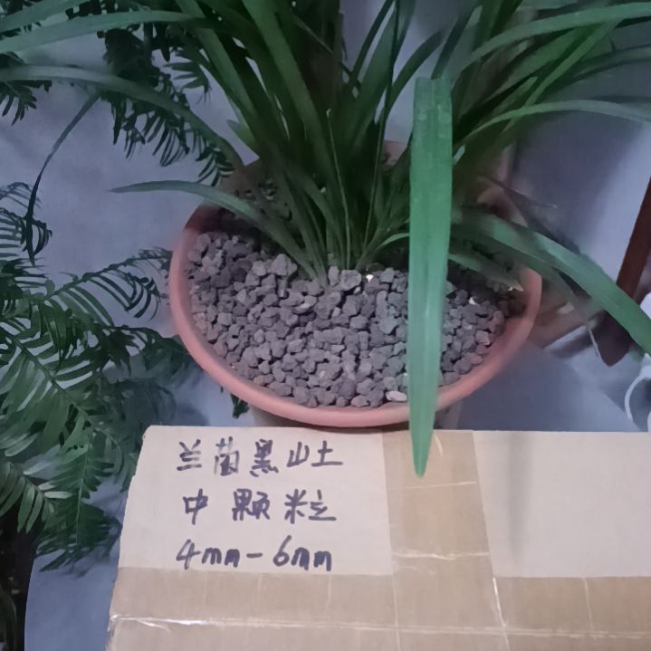 自***苑兰菌颗粒中颗粒6.6斤