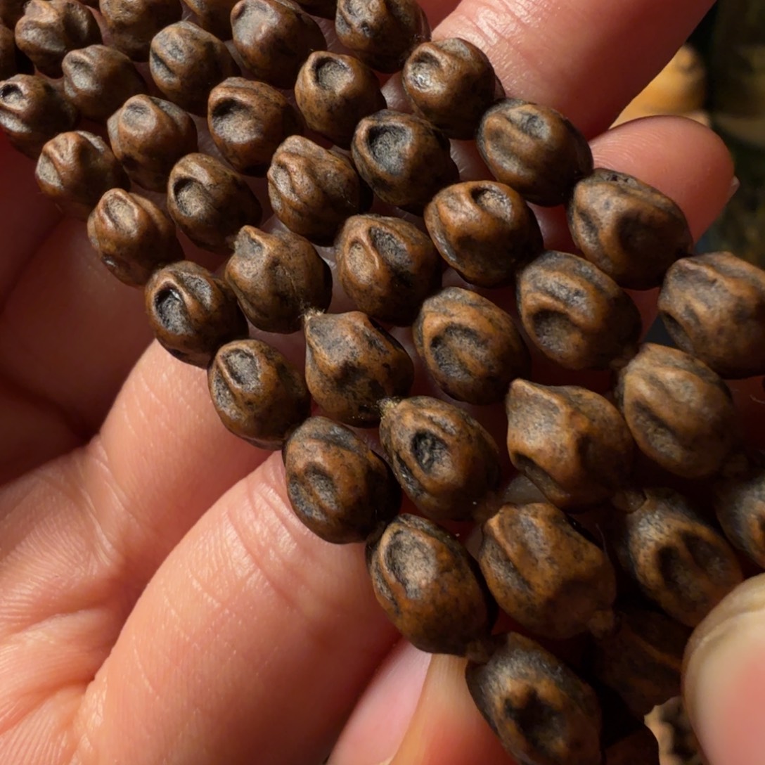 *****柏香籽/百香籽吊坠