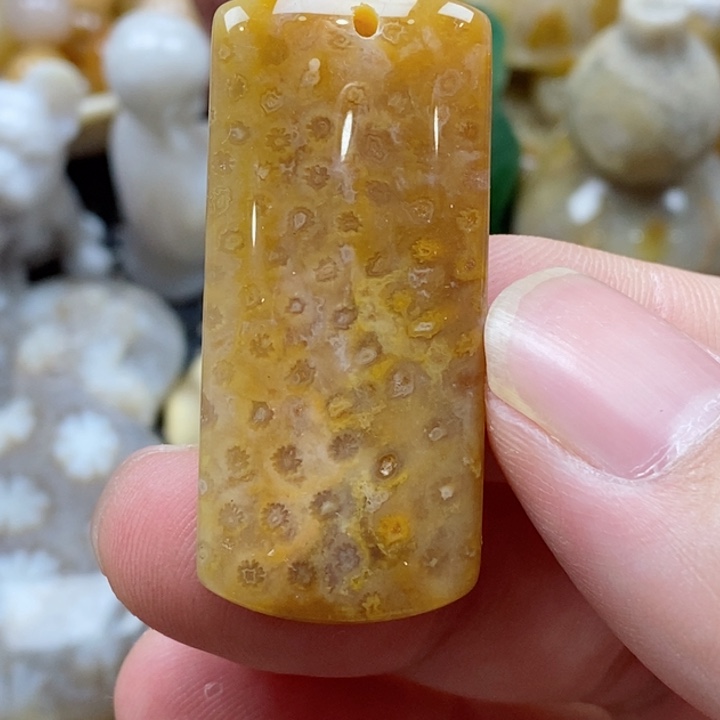 硅化珊瑚（珊瑚玉）颈饰未镶嵌小吊坠