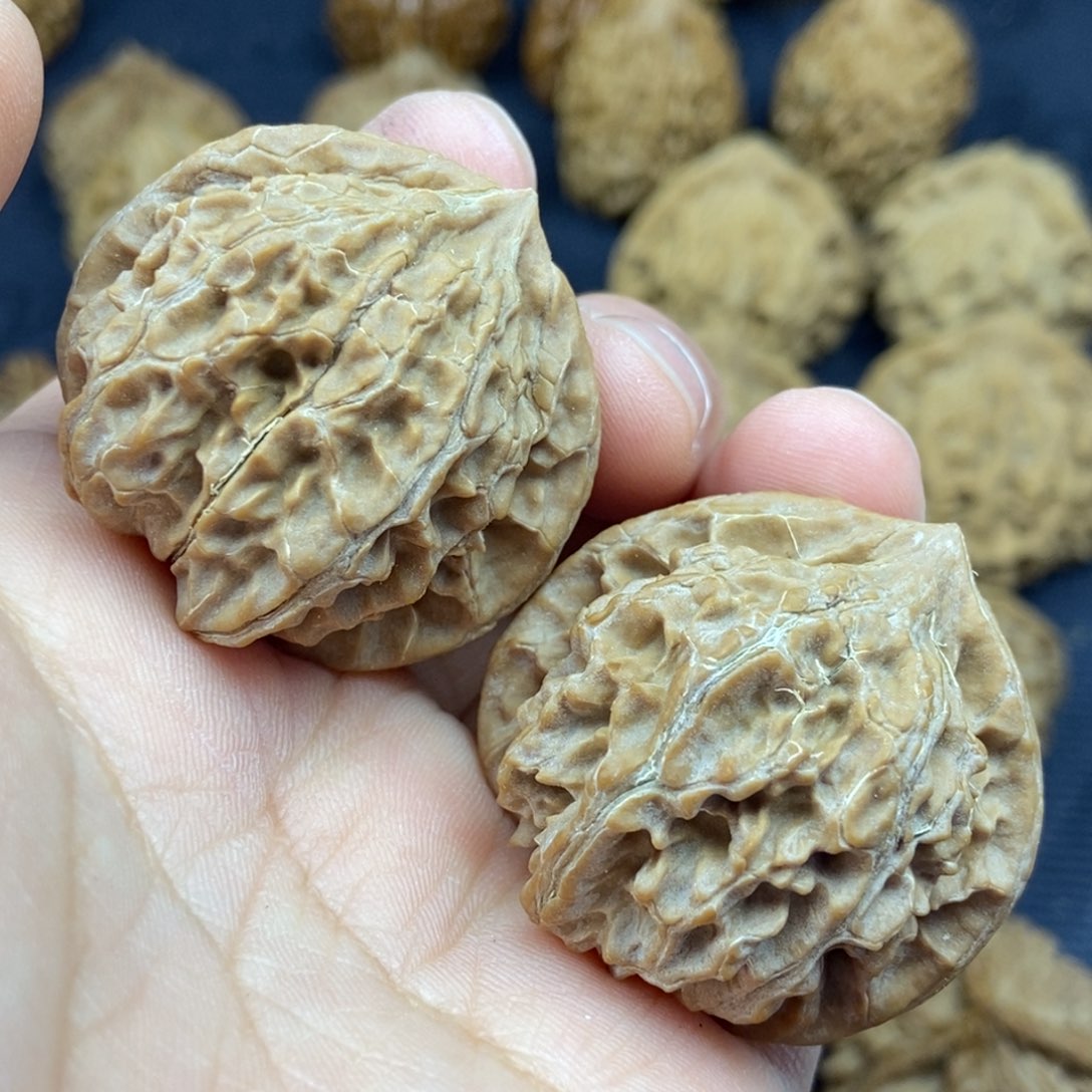 秦岭核桃野生玉玺宫灯14号链接1414