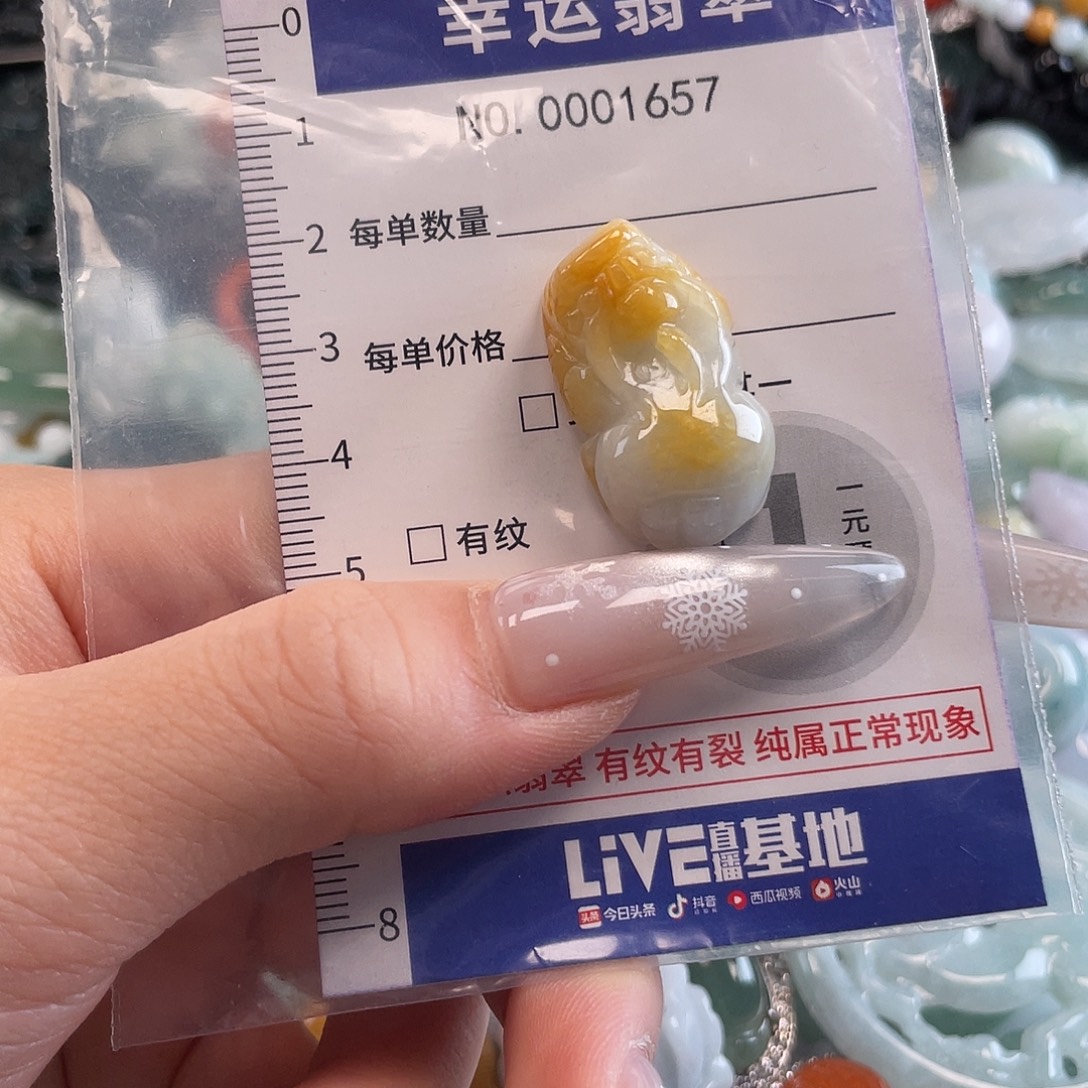 翡翠未镶嵌颈饰hhh