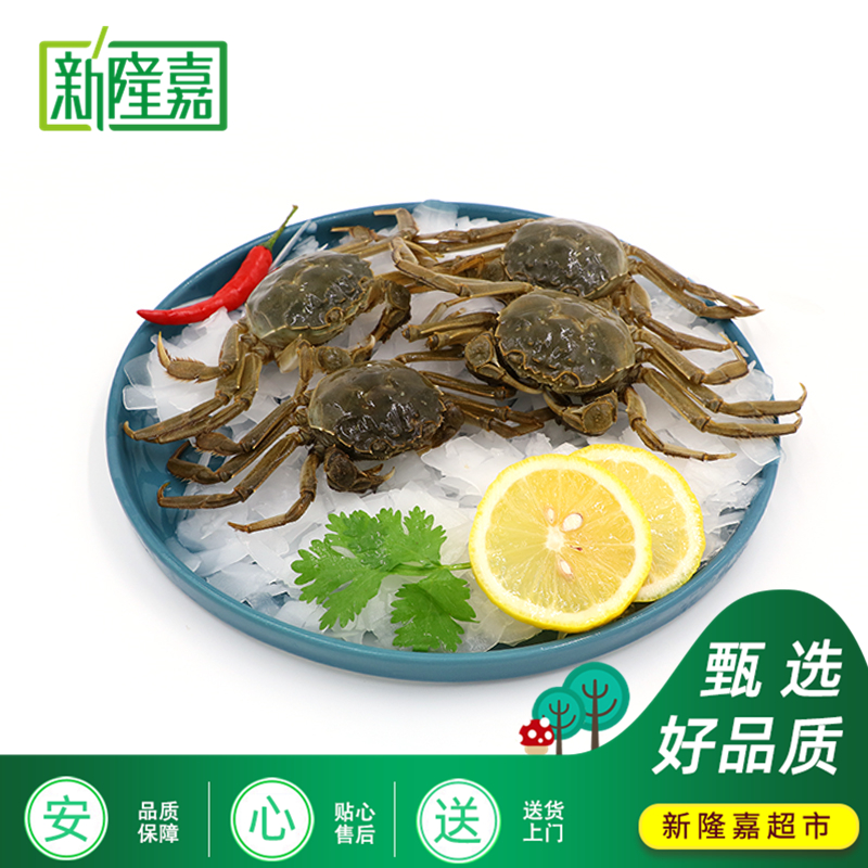 【天丰店】鲜活 河蟹公 2两/只 2.5两/只 3两/只 2斤/3斤/5斤（送货上门）