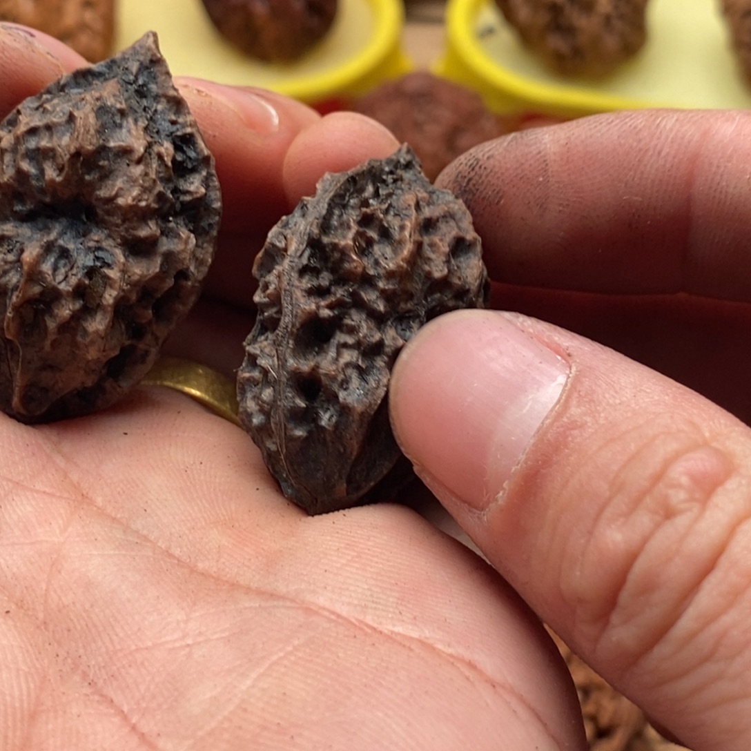 文玩核桃吊坠楸子118