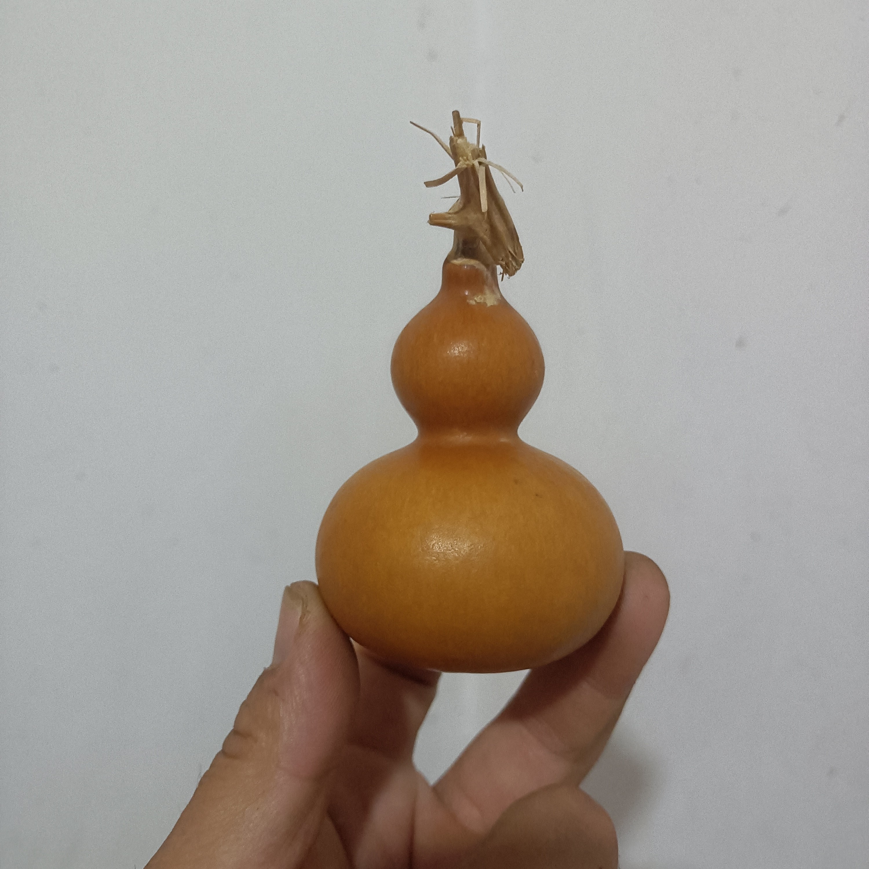 直播间专用链接私拍随机发