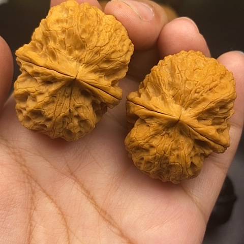 文玩核桃把件41尺麒麟元宝
