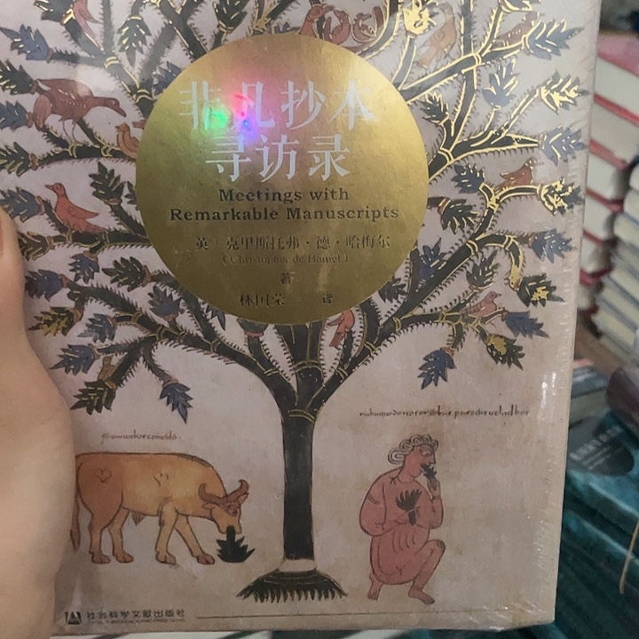 非凡抄本：微瑕图书系列