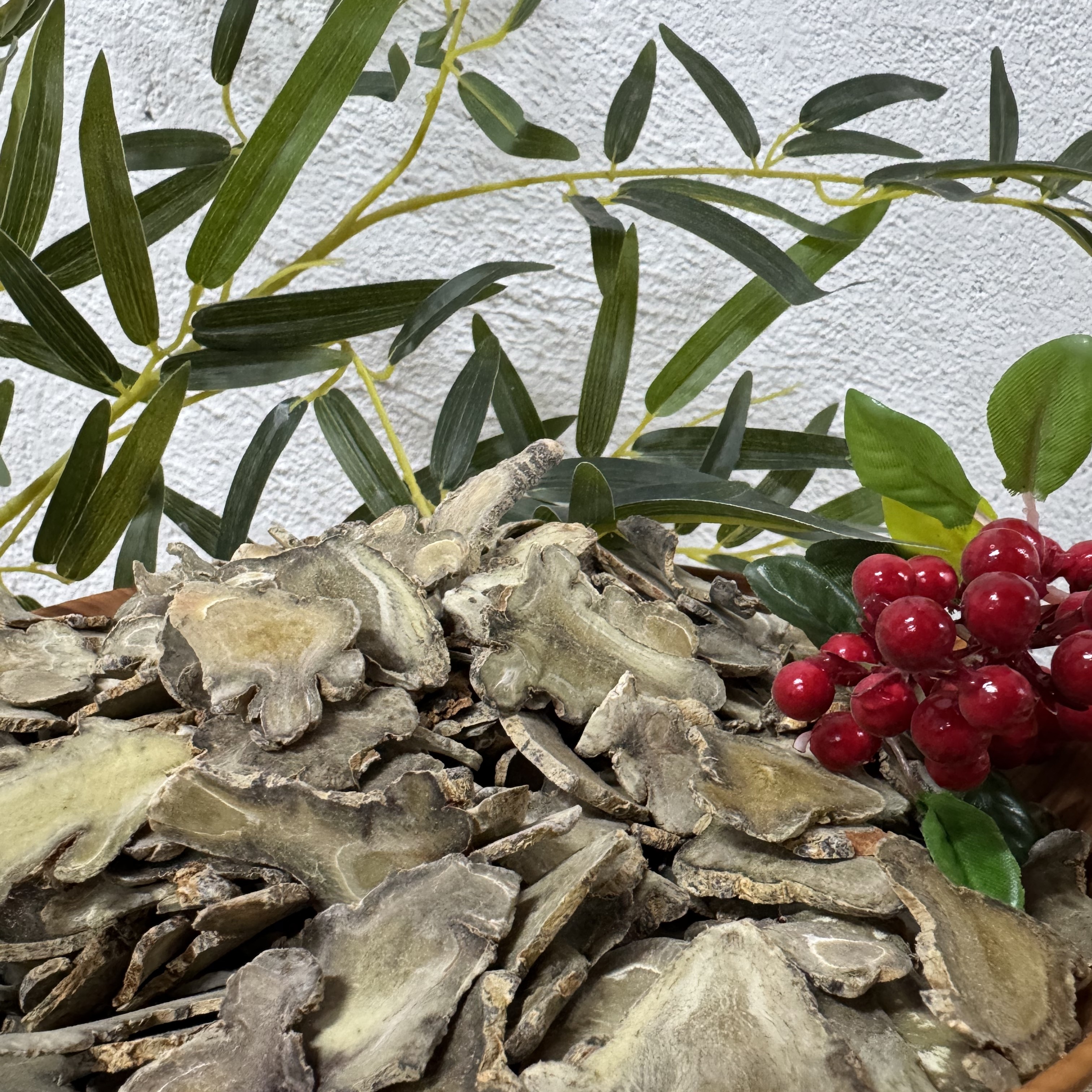 云南黄皮绿肉田七片