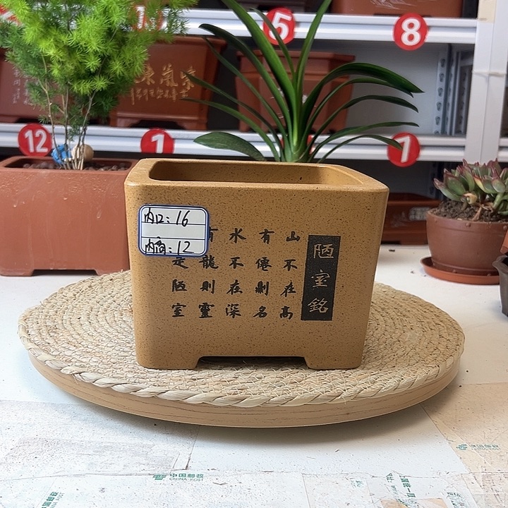 紫砂花盆蛇年大吉