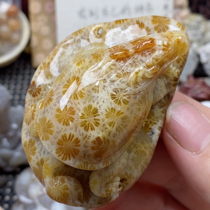 颈饰未镶嵌硅化珊瑚（珊瑚玉）