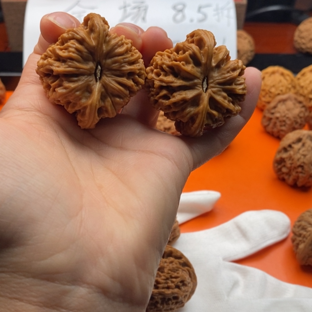 贺***6大叶紫檀（黑酸枝木类）全品