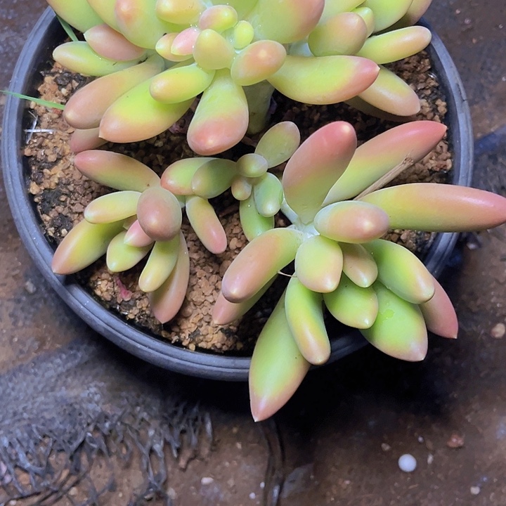 誓***言是谁让她一晚上一觉醒