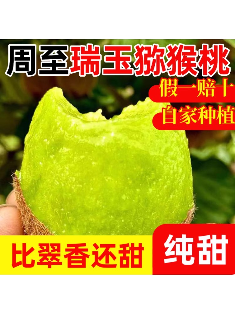 【发顺丰】陕西周至瑞玉纯甜无酸猕猴桃孕妇新鲜水果绿心奇异果当季