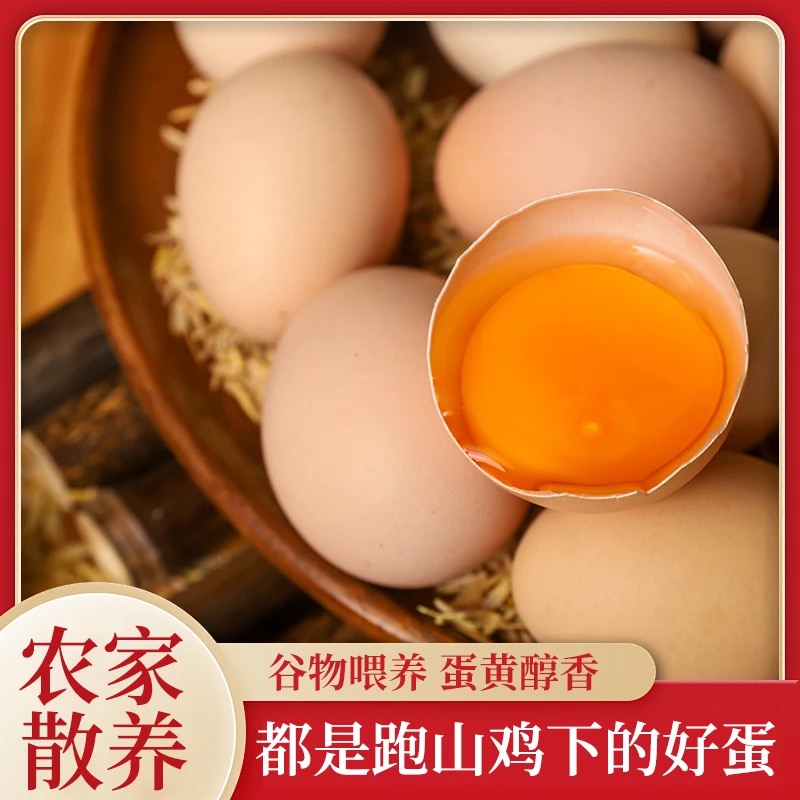 50枚新鲜高品质农家散养土鸡蛋现捡先发无抗谷物蛋（净重2000g）